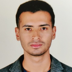 Mostafa Hassan