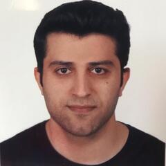 Mehmet Sait Nerse, .Net Developer