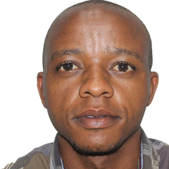 Michael Mulwa, Audit Associate