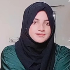 Zainab Irfan, Teaching Assistant