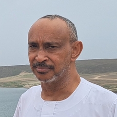 Tariq  Sultan, general practitioner