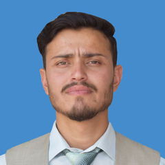 Abdul Basit Khan, Lecturer