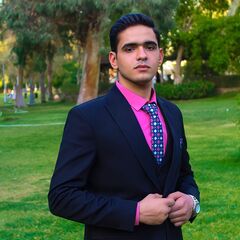 Muhammed Adel  ElMenshawy