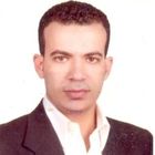 Mohamed Moselhy, Project Manager